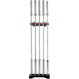 Stojak pionowy Ironsports® R-3500 ścienny na gryfy | 5 uchwytów| ID: 7175 by IRONSPORTS | Image #1 klubfitness.pl